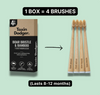 TOXIN DODGER Boar or Horse Bristle Toothbrush (4 Pack)